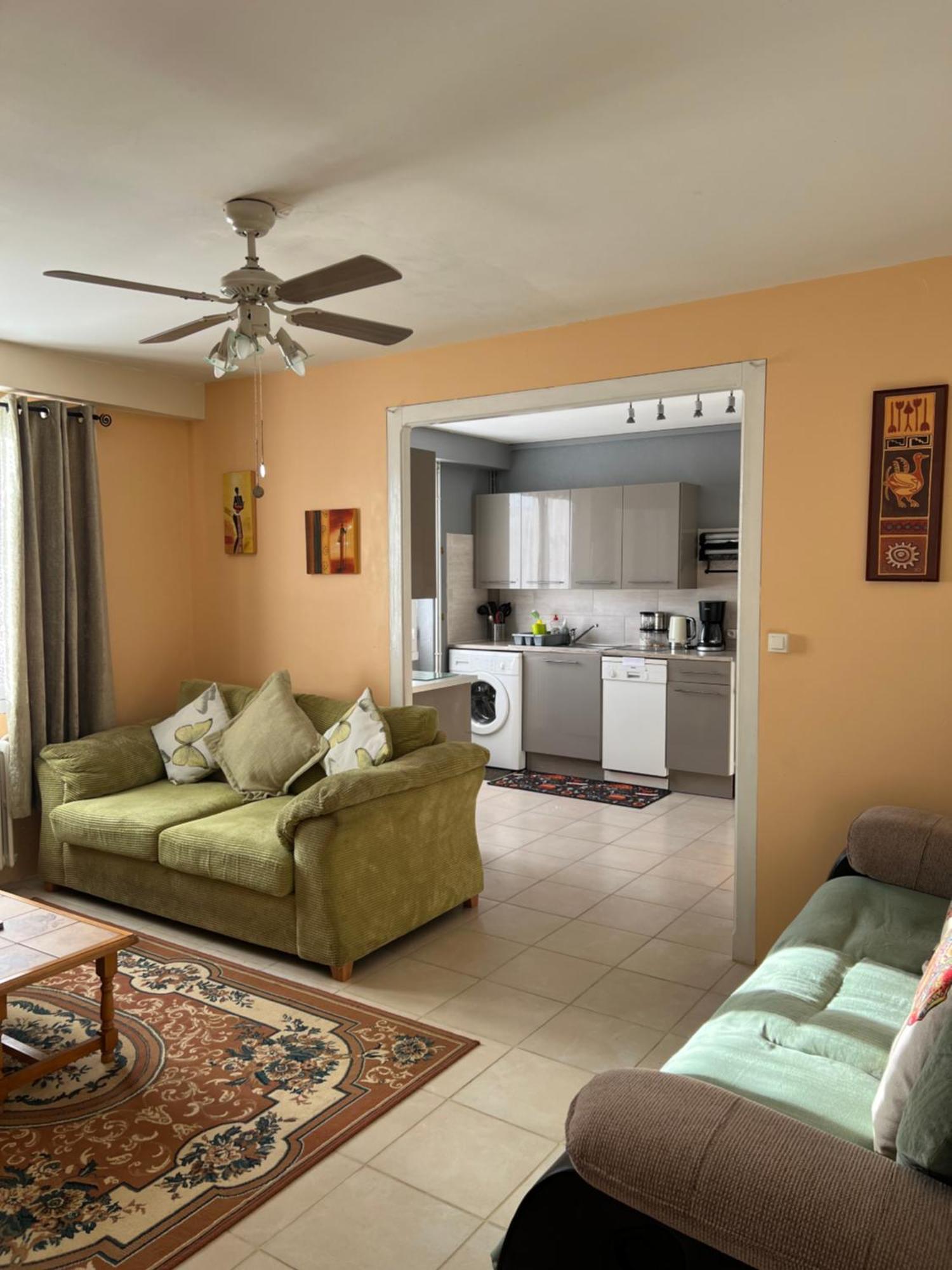 Gite Du St Martin Apartment Oradour-Fanais ภายนอก รูปภาพ